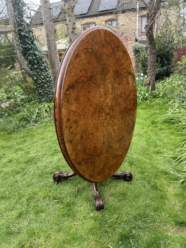 Antique burr walnut tilt top - antique,